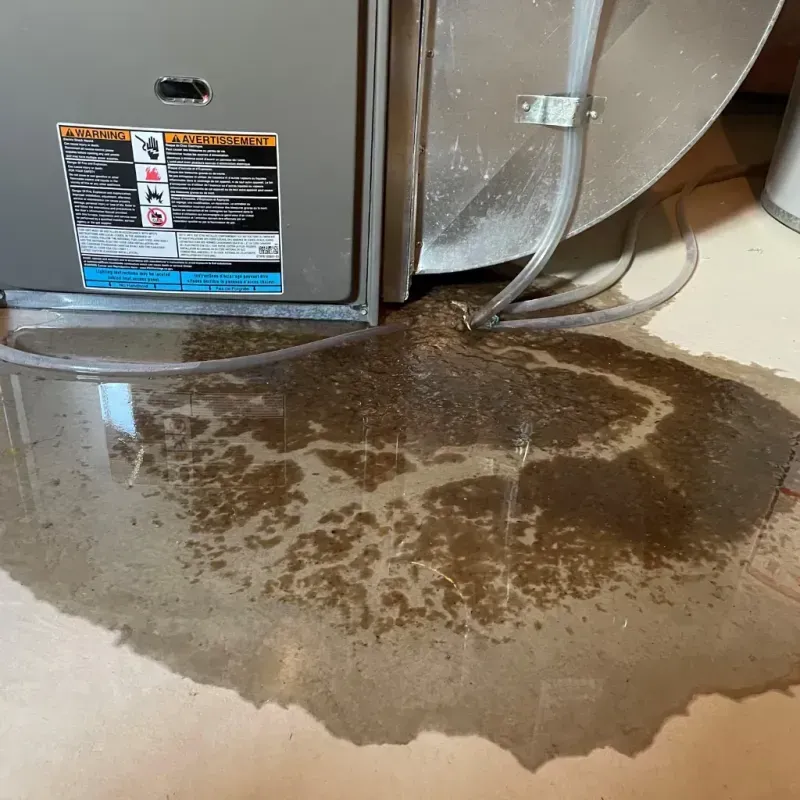 Appliance Leak Cleanup in Stanberry, MO